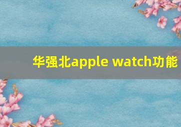 华强北apple watch功能